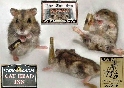 17880 98325 27642 63209 57751 64722